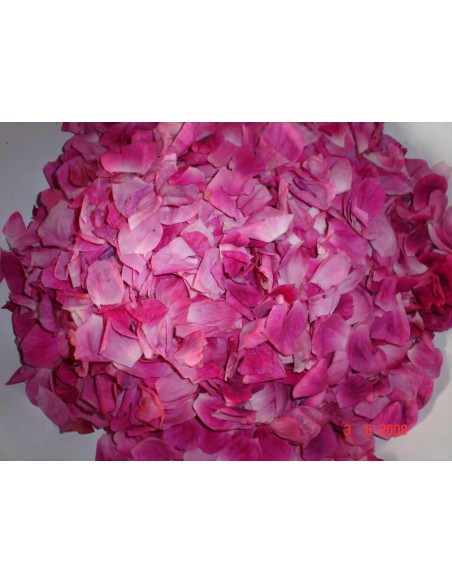 Trandafiri de dulceata