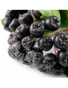 Fructe Aronia - congelate 1kg