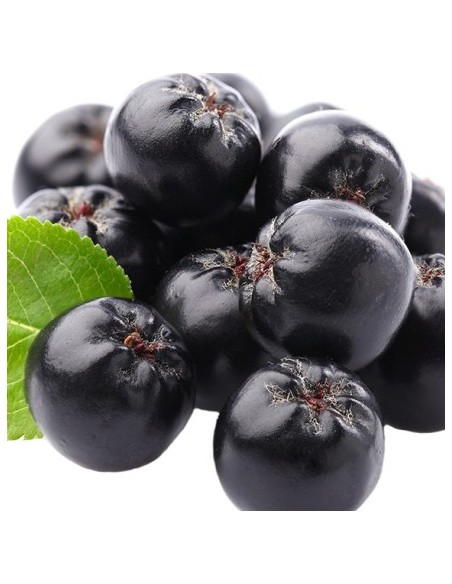 Dulceata de Aronia 200 gr, Bio 100% Aronia Planta 40-50cm, 2 Ani - Butasi de Aronia - Rasaduri Aronia cu Radacina