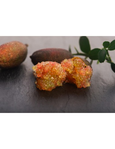 Limone caviale (Finger lime...
